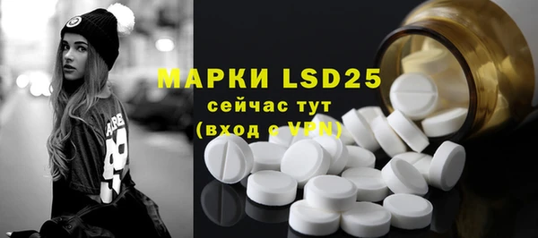 индика Арсеньев