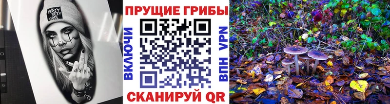 купить наркотик  Углич  Псилоцибиновые грибы мицелий 